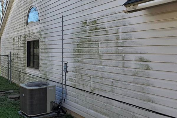 Before image